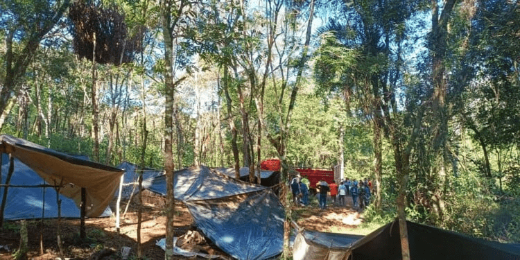 Desmantelan un campamento ilegal de tareferos en El Soberbio