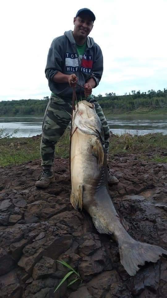 Padre e hijo pescaron un Manguruyú de 80 kilos en una impresionante hazaña